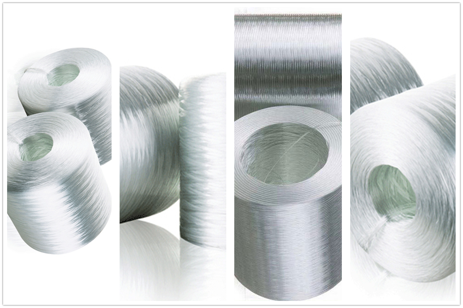 体育app在线登录