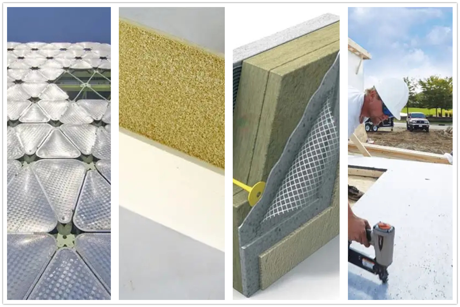 体育app在线登录