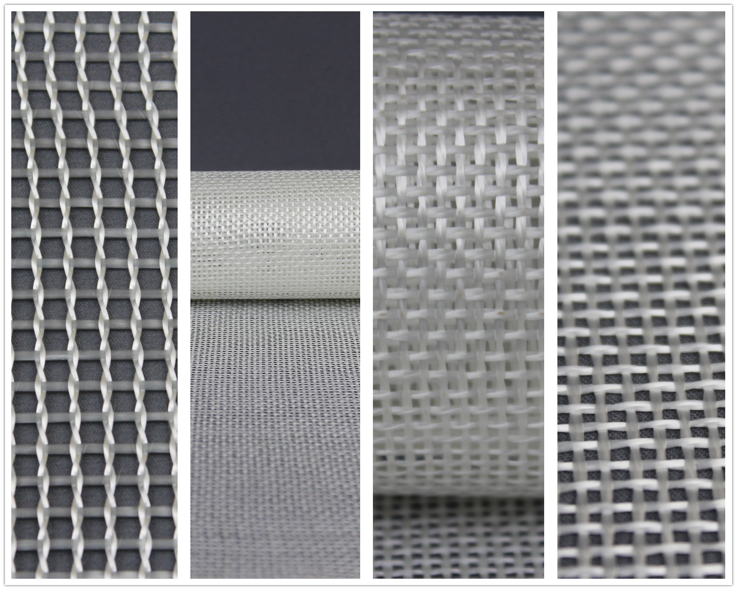 体育app在线登录