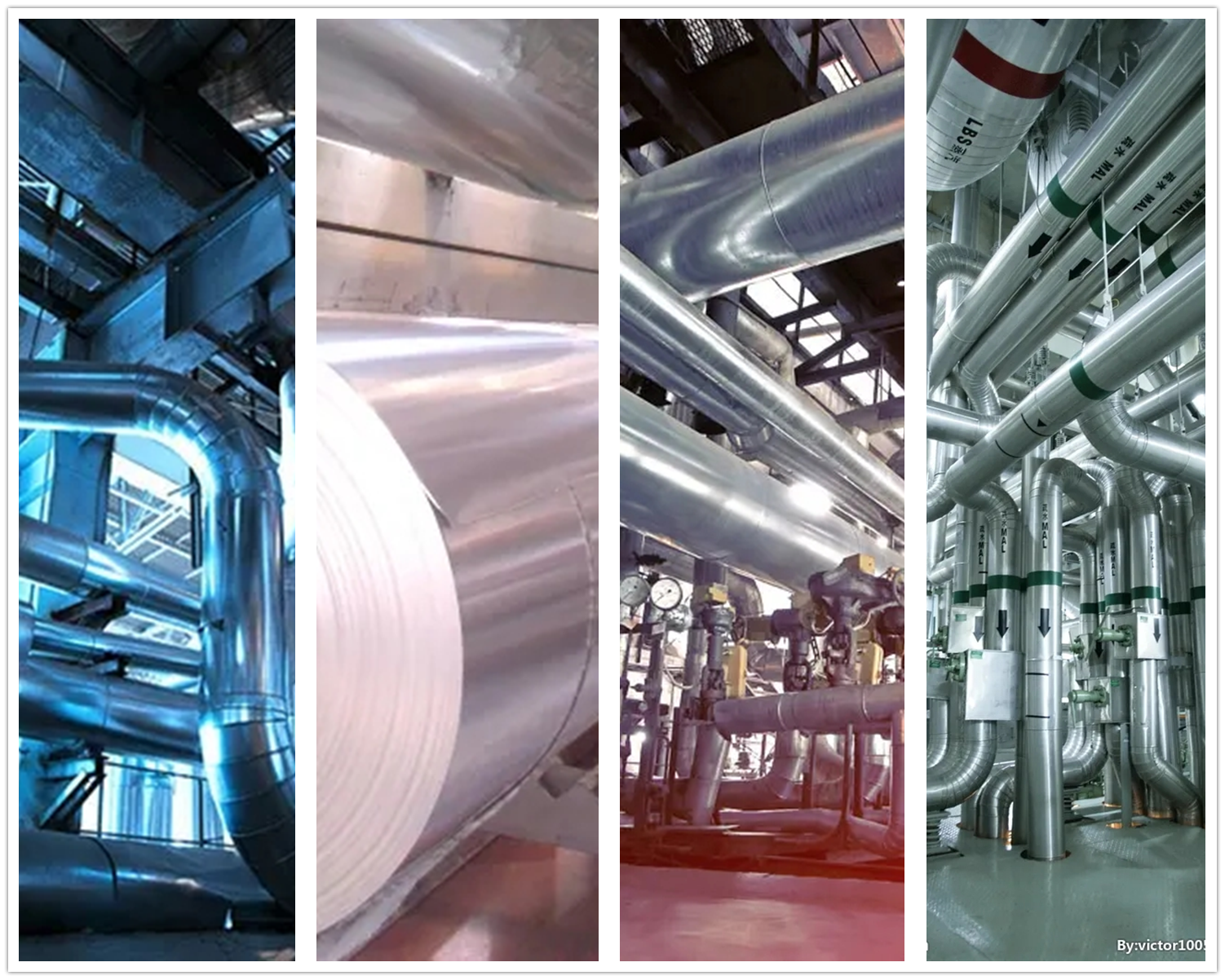 体育app在线登录