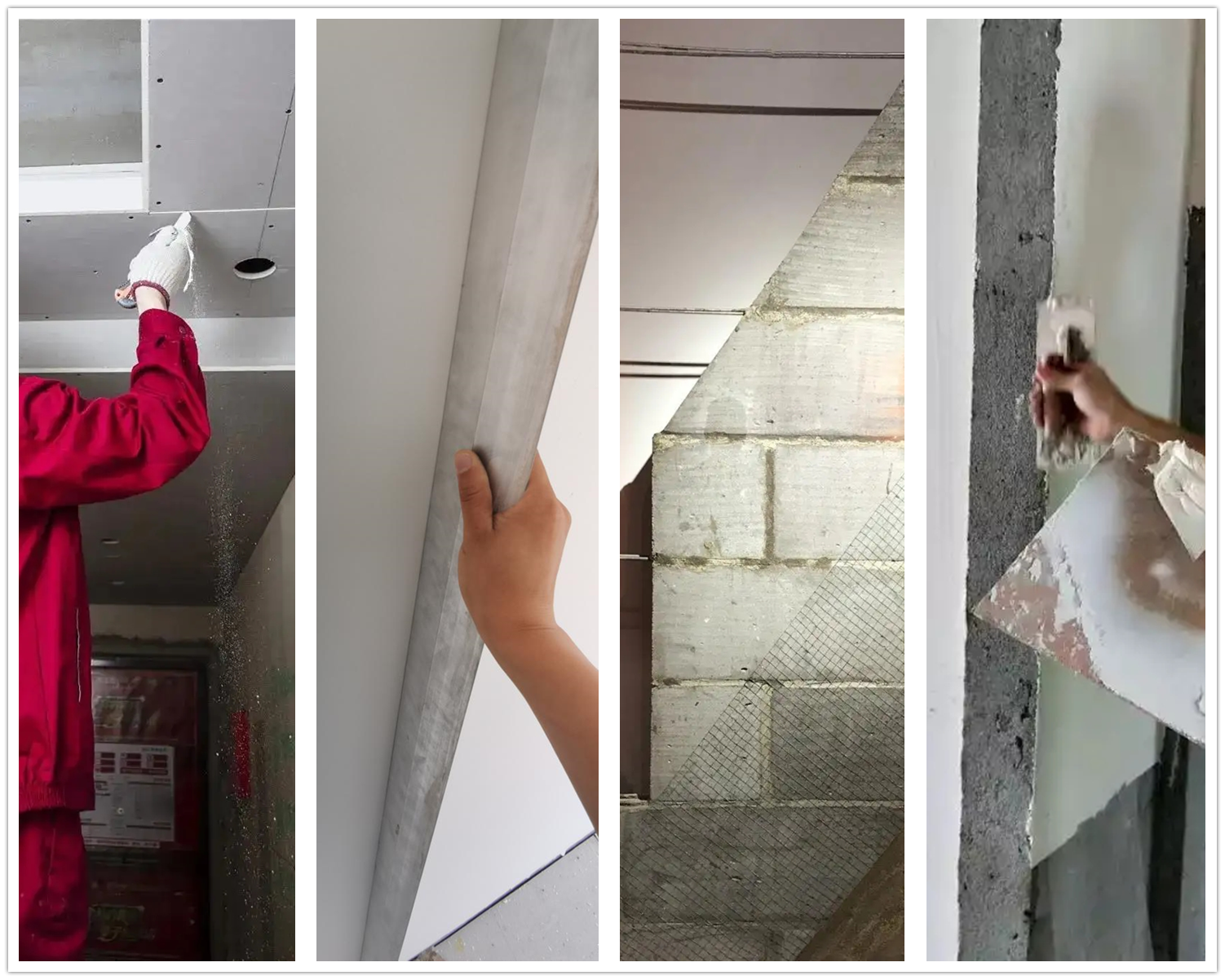 体育app在线登录